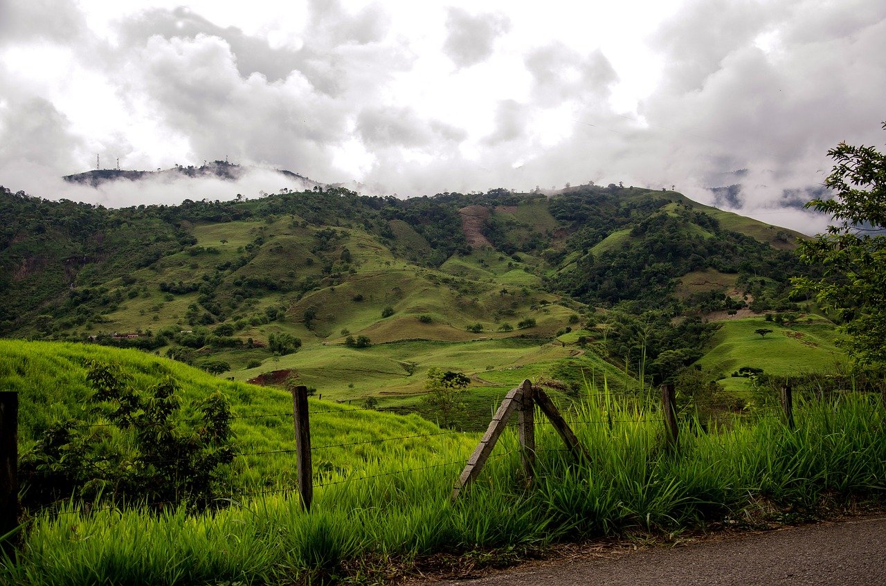 colombia, coffee zone, mountains-2429461.jpg